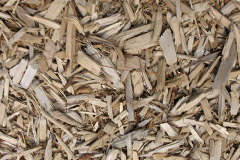 biomass boilers Polmorla